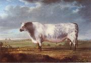 A Prize Bull Thomas Alder